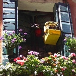 Birdcage In Window, Venice, 2003